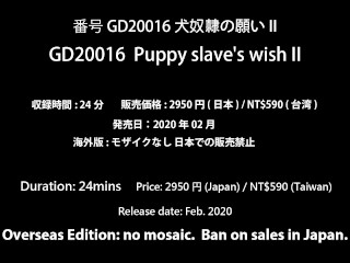 Gd20016 Gdude 犬奴隷の願い Ii Part2